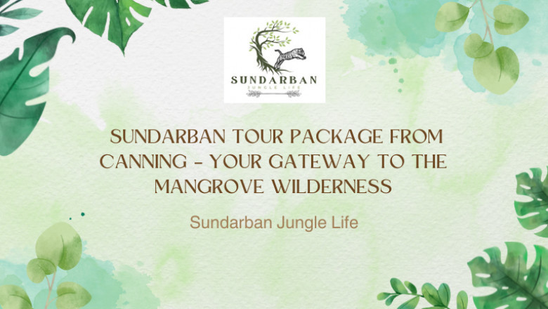 Sundarban Tour Package from Canning – Discover the Wilderness with Sundarban Jungle Life
