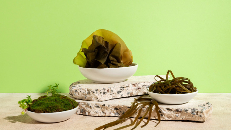 Algae Products Market Size, Share, Future Outlook, 2032