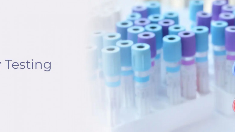 Allergy Testing Guide: Types, Procedures &amp; Results