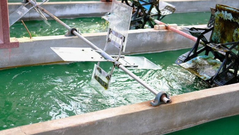 Fish Pumps Market Outlook 2025: Enhancing Efficiency in Aquaculture and Fisheries