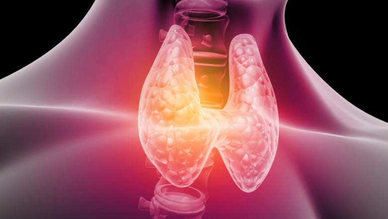 Global Hypoparathyroidism Market: Size, Trends and Forecast