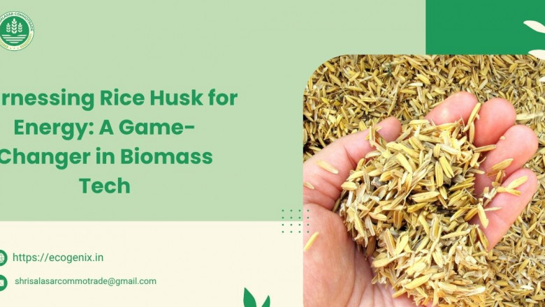 Harnessing Rice Husk for Energy: A Game-Changer in Biomass Tech
