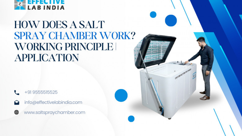 How Does a Salt Spray Chamber Work? Working Principle | Application