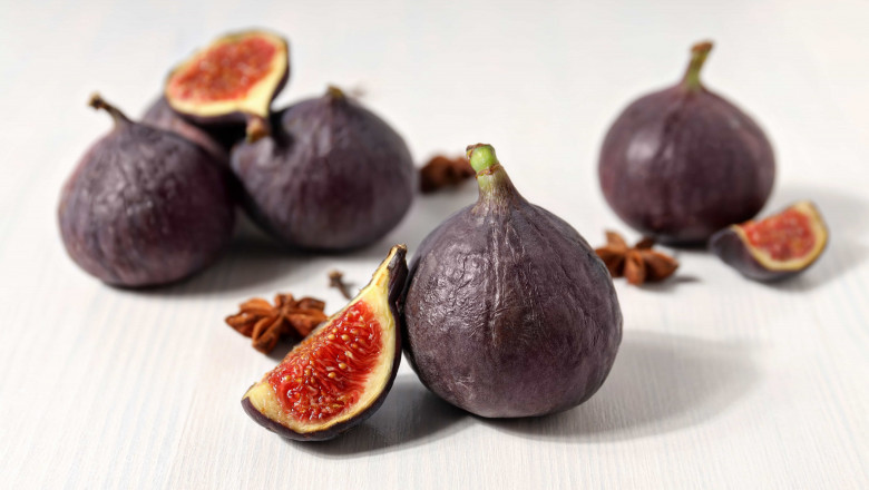 How to Grow Violette de Bordeaux Figs