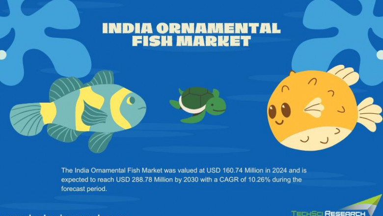India Ornamental Fish Market Expansion: What’s Driving the Growth?
