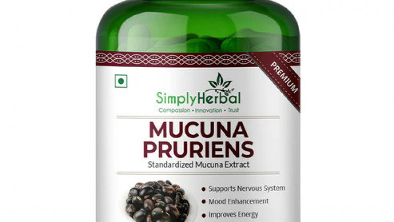Kaunch Beej with Black Mucuna Pruriens – Boost Energy &amp; Testosterone Naturally