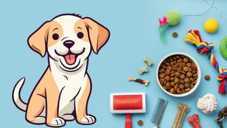 Pet Supplements Market Size, Share, Growth Drivers, 2032