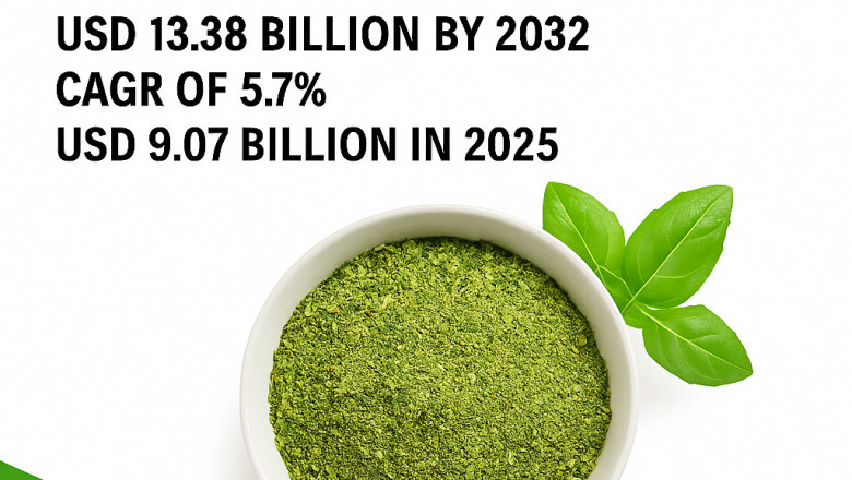 Savory Ingredients Market Size, Share &amp; Trends to 2032