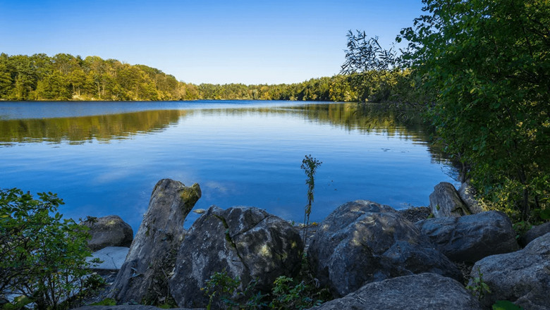 Sump Pumps: When and Why You Need One in Richmond Hill