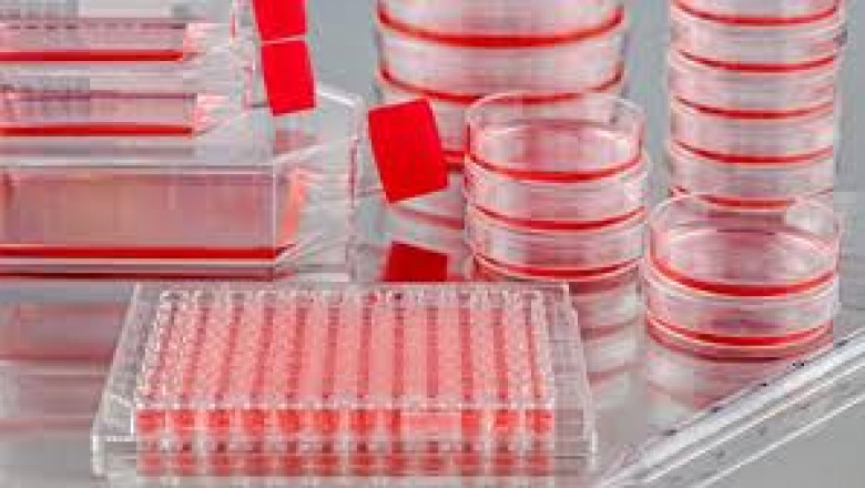 Viral Vaccine Cell Culture Media Market Growth Insights