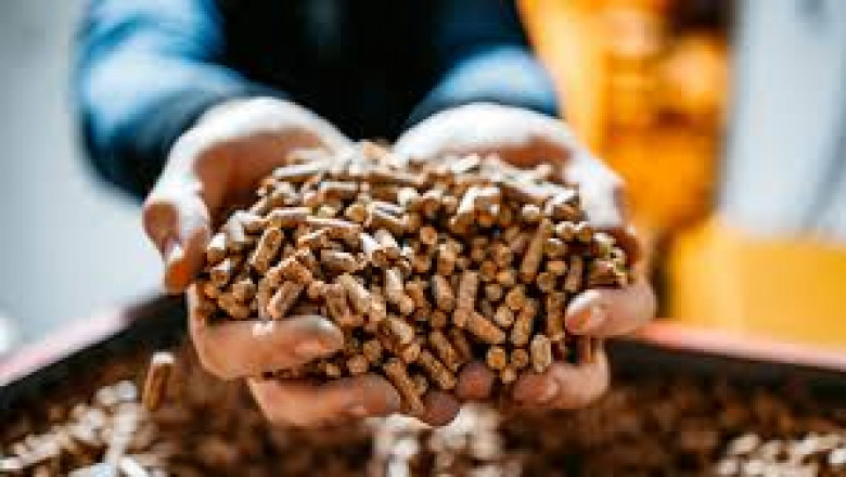 Wood Pellets Market Diversifies Applications In Industrial Boilers And CHP Plants