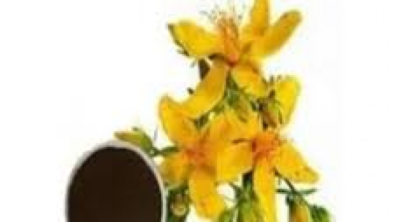 Wort Concentrate Market competitive landscape overview with strategic positioning insights