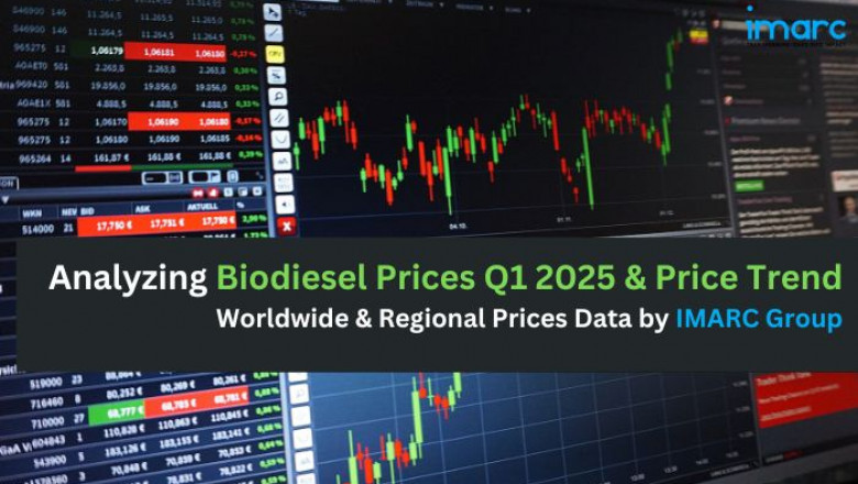 Biodiesel Prices 2025 – Index &amp; Forecast | IMARC Group