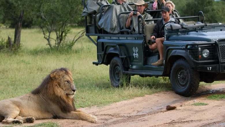 Cheap Auckland to South Africa Flight Tickets: Explore the Rainbow Nation on a Budget