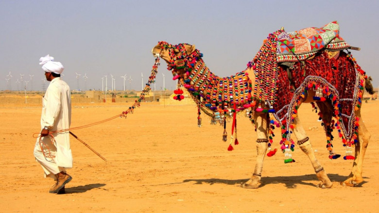 Everything You Need to Know Before a Trip to Rajasthan
