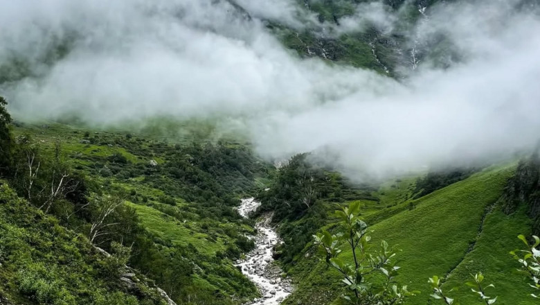 Exploring the Ideal Season to Witness the Valley of Flowers in Full Bloom