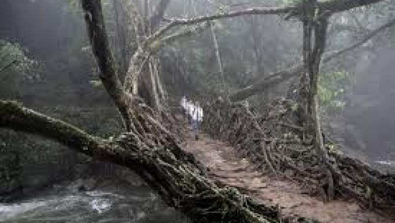 Mystical Meghalaya Tour – Journey into the Abode of Clouds
