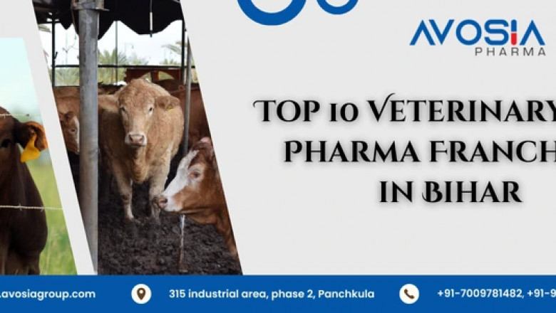 Top 10 Veterinary PCD Pharma Franchise in Bihar