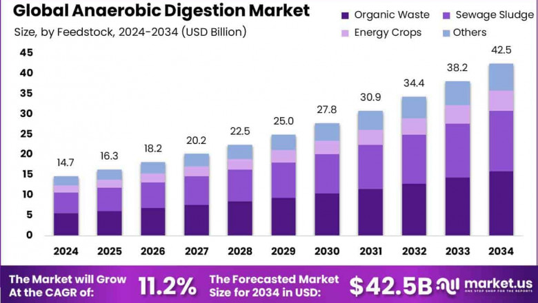 Anaerobic Digestion Market Drivers | Environmental Mandates Push Growth