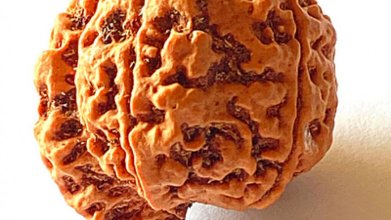Experience Divine Energy Buy Natural Rudraksha Beads in Haridwar