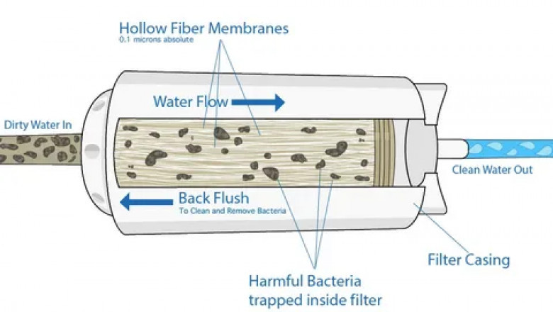 Hollow Fibres Membrane Market Growth Opportunities for Investors 2025–2032