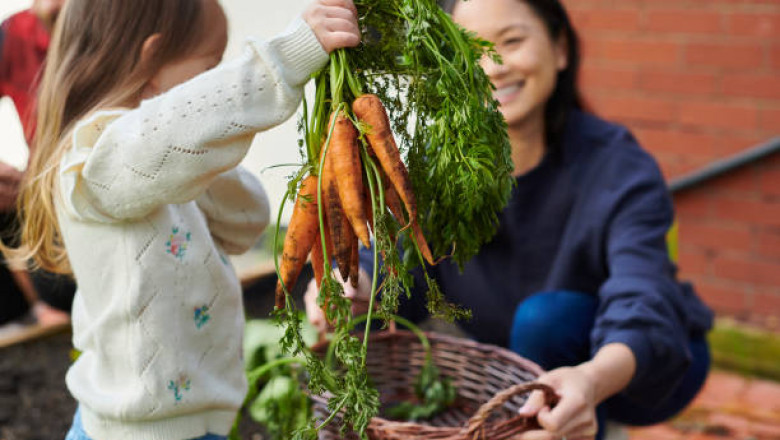 Kind Words &amp; Gentle Hands: How Nurseries Guide Early Behaviour with Kindness