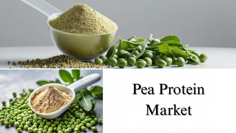 Pea Protein Market Size, Share &amp; Emerging Market Trends by 2032