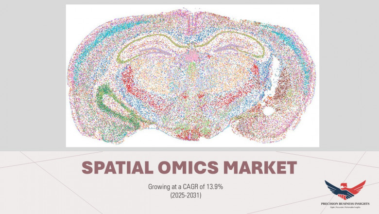 Spatial OMICS Market Size, Share, Demand, Overview Report 2031