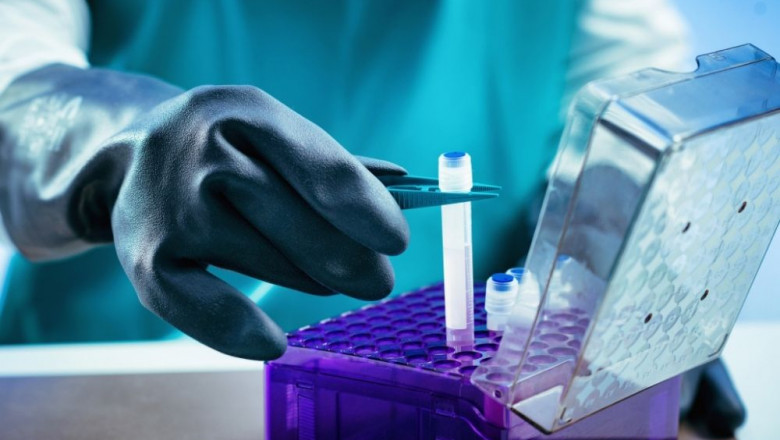 Unveiling the Potential of Cell Cryopreservation: Techniques, Applications, and Future Prospects