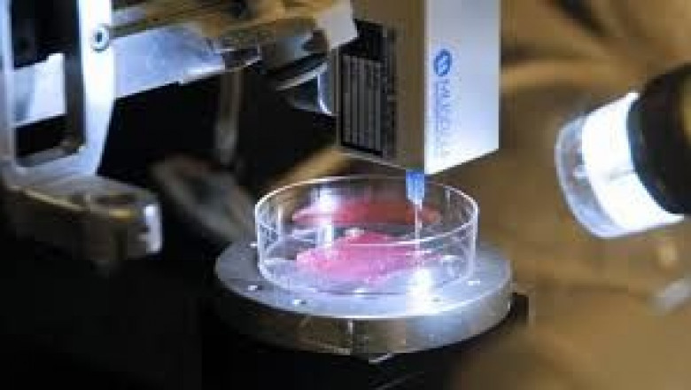 3D Bioprinting Market Outlook: Global Insights and Forecast 2021–2030