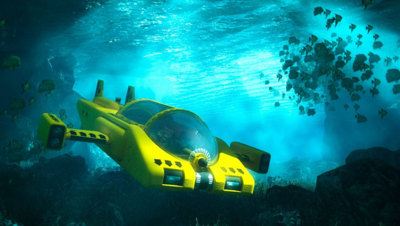 Autonomous Underwater Vehicles Market Size by Type and Payload, 2021–2028