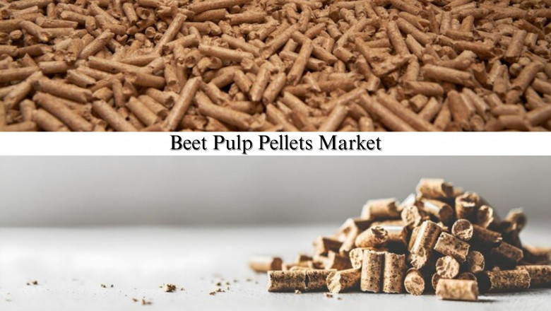 Beet Pulp Pellets Market Size, Share &amp; Sector Growth Forecast 2028