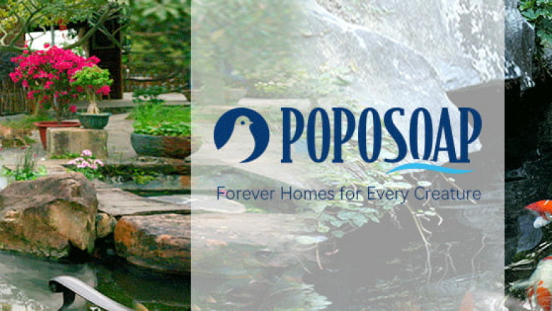 Brighten Your Garden With Solar Powered Bird Bath Fountains