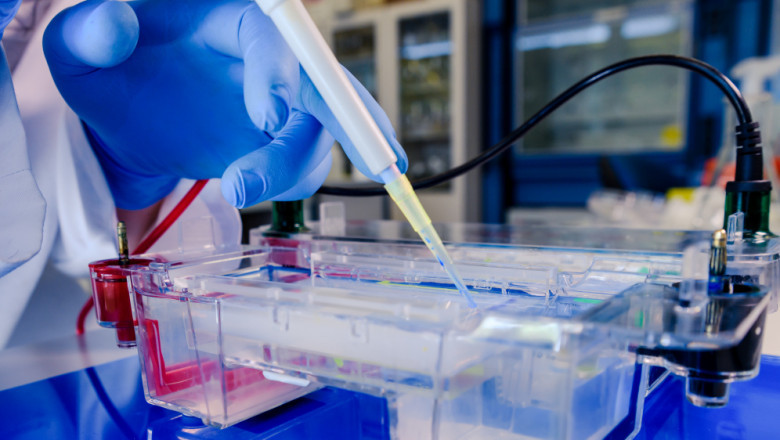 Electrophoresis Market: Accelerating Innovation in Genomic and Proteomic Research