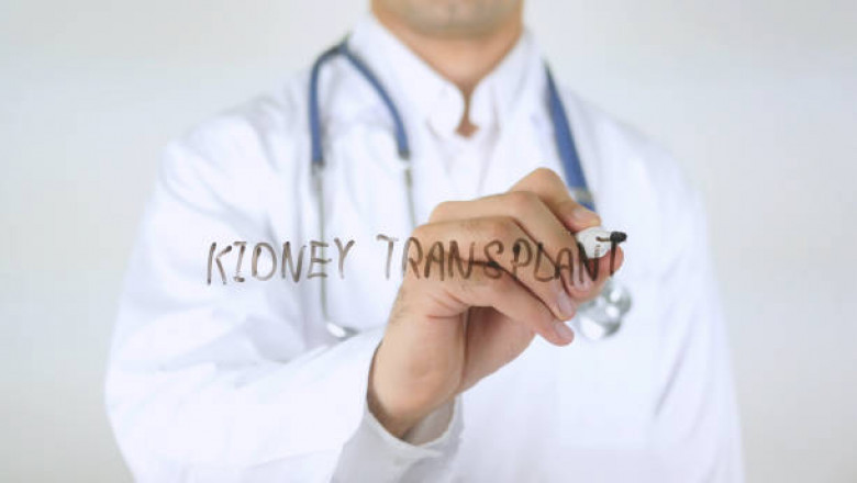 Kidney Transplantation: Enhancing Access and Success Rates