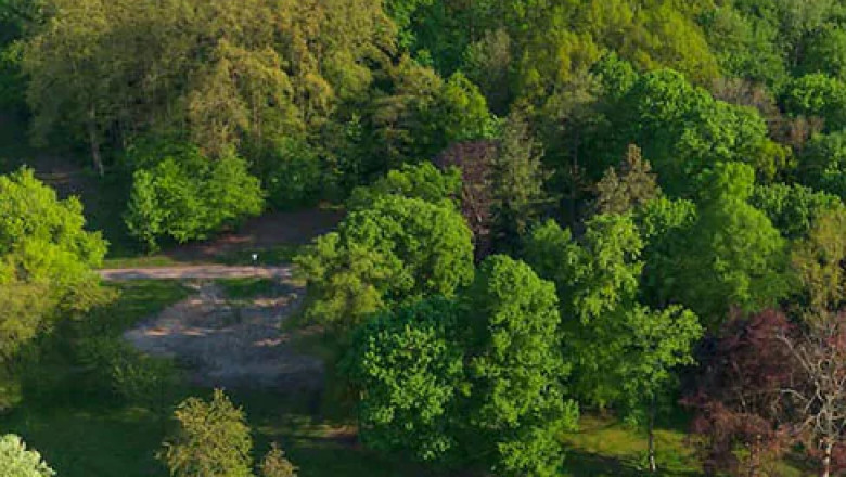 So finden Sie das perfekte Ayurveda-Retreat in Deutschland