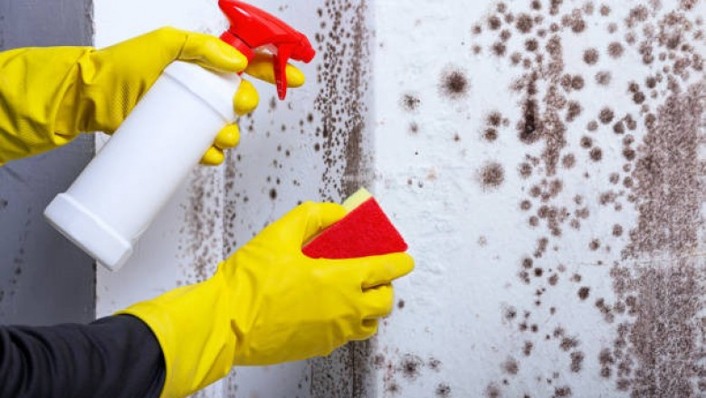 Certified Mold Inspectors in Simi Valley – Reliable &amp; Thorough