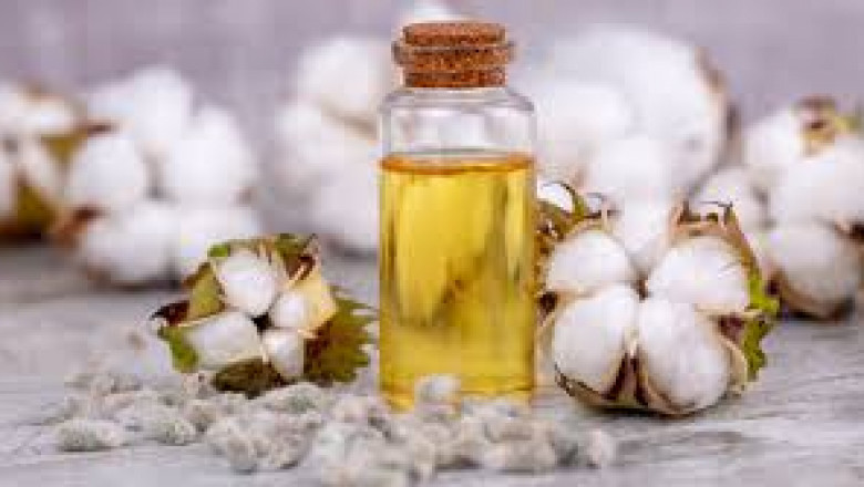 Cottonseed Oil Market Overview: Key Impacting Factors Driving Global Demand Trends