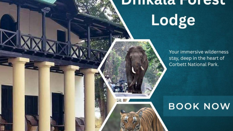 Explore the Untamed Wilderness with Dhikala Tour Packages in Jim Corbett
