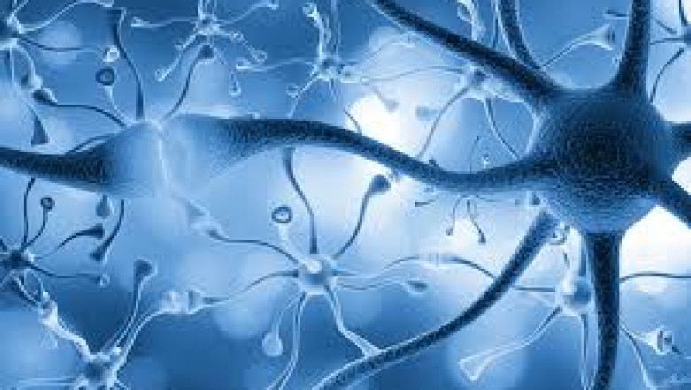 Global Nerve Repair and Regeneration Market Size, Share, and Forecast 2021 - 2030