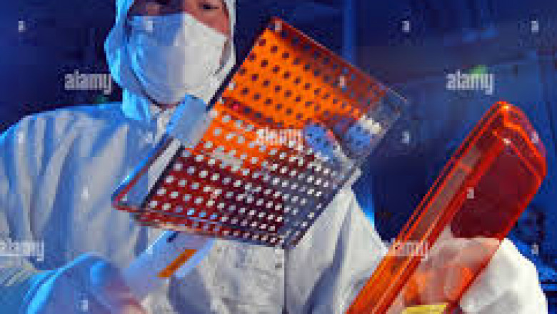 Photomask Market Size, Share, Industry Trends and Report 2025-2033