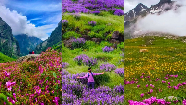 Valley of Flowers Trek : Shree Kedar Yatra (SKY)