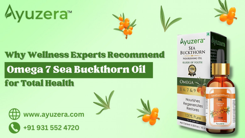 Why Wellness Experts Recommend Omega 7 Sea Buckthorn Oil for Total Health