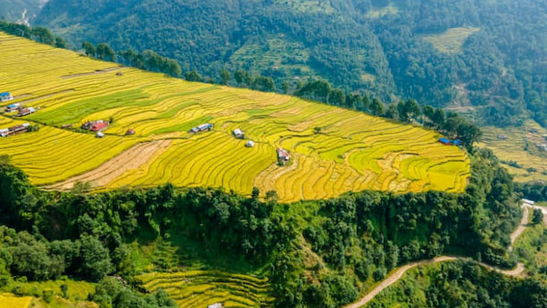 Complete 10-Day Northeast India Itinerary for Nature &amp; Culture Lovers