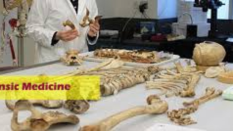 Forensic Science &amp; Criminal Investigation – A Fondelco Insight