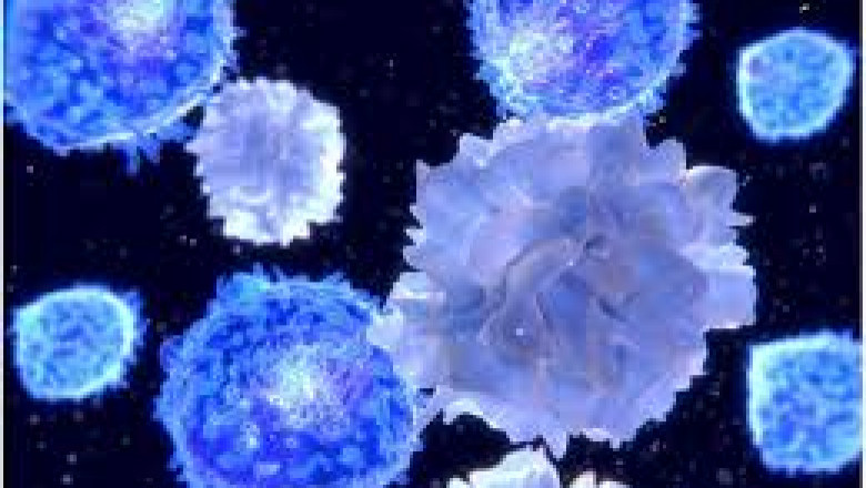 Global cGAS STING Pathway Market: Size, Trends, and Growth Forecast 2025-2032