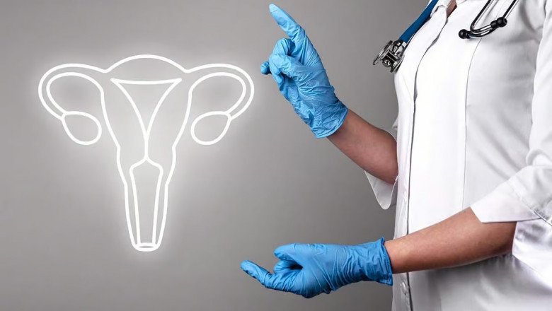 How Much Are General Gynecology Fees Today?
