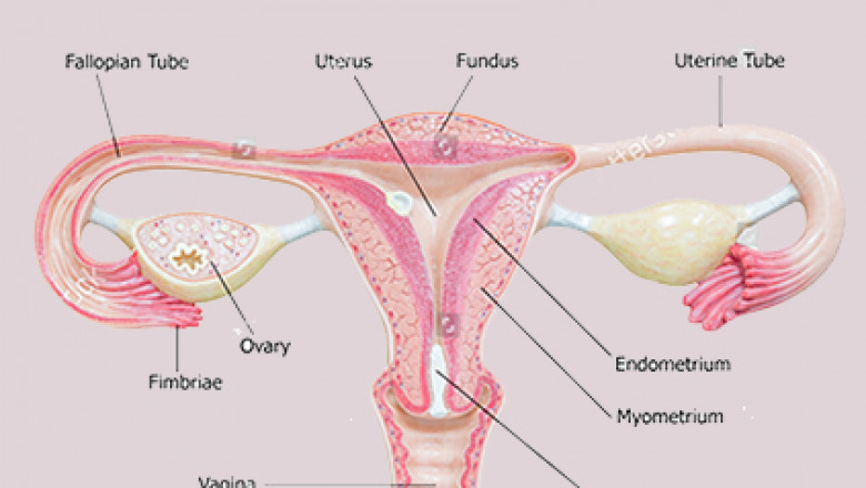 Ovulation Induction Treatment in Gachibowli | Hyderabad - Dr Sravya Buggana