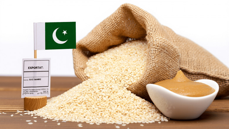Pakistan’s Finest White Sesame Seeds: Quality You Can Taste, Reliability You Can Trust