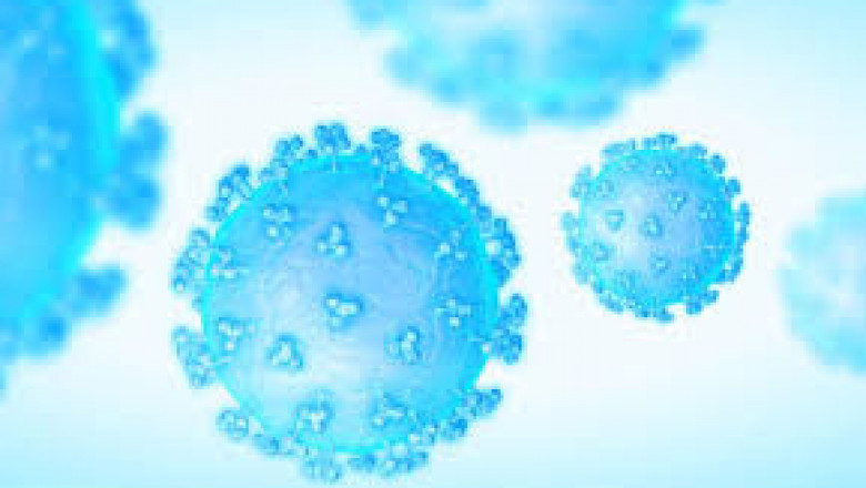 United States Nanobodies Market: Size, Trends Key Growth Strategies